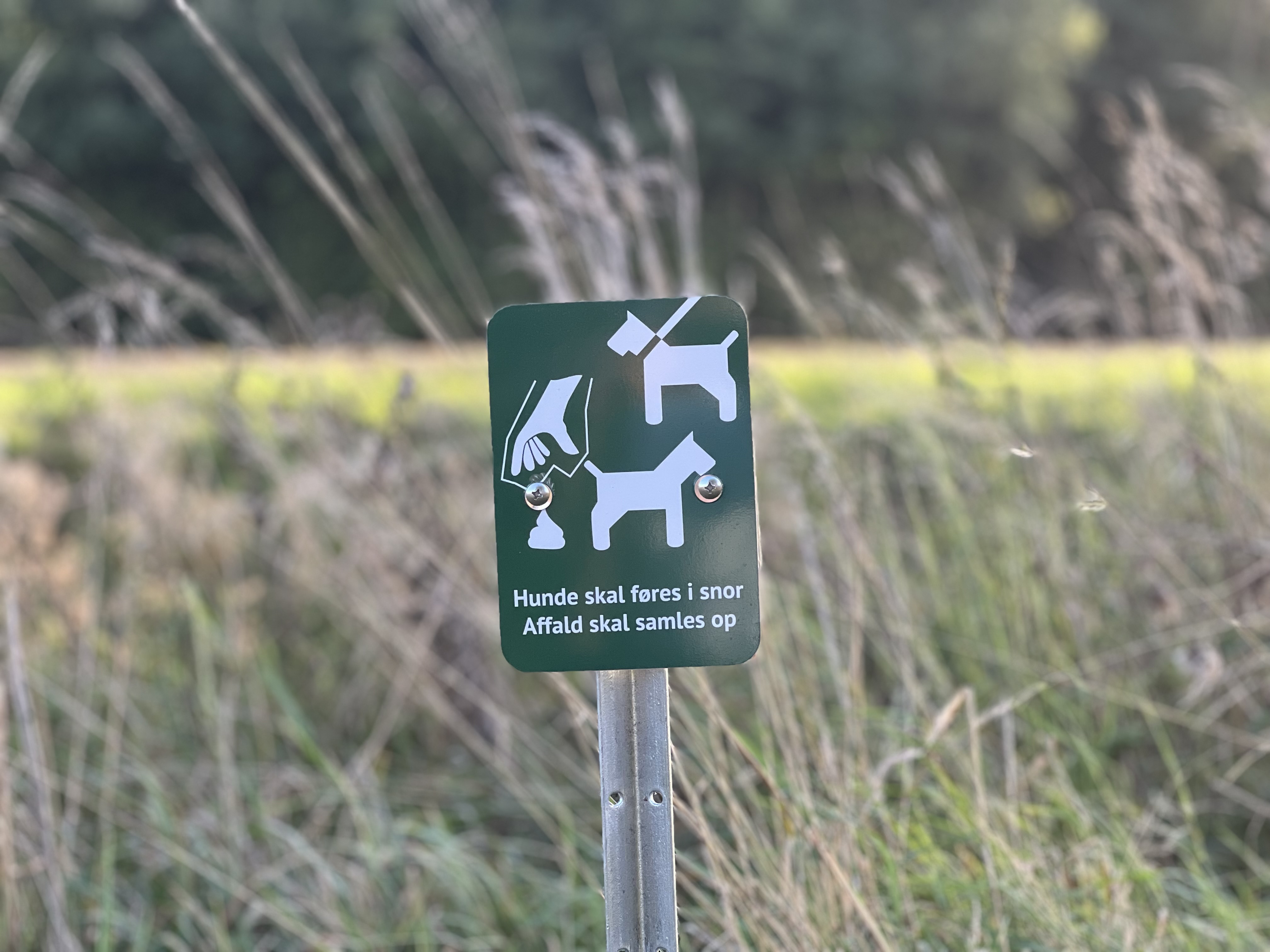 image from Hundelorteskilte